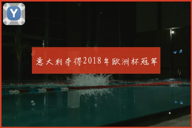 意大利夺得2018年欧洲杯冠军