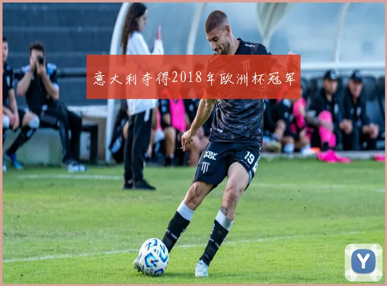 意大利夺得2018年欧洲杯冠军