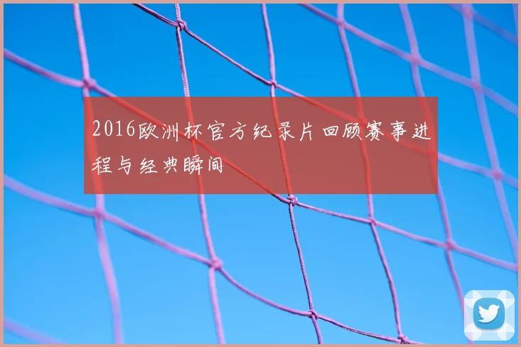 2016欧洲杯官方纪录片回顾赛事进程与经典瞬间