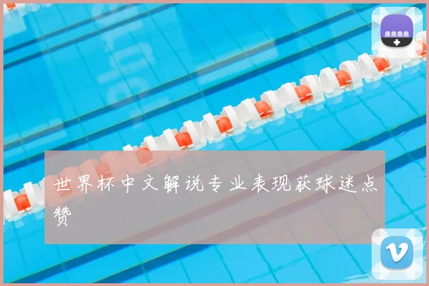世界杯中文解说专业表现获球迷点赞