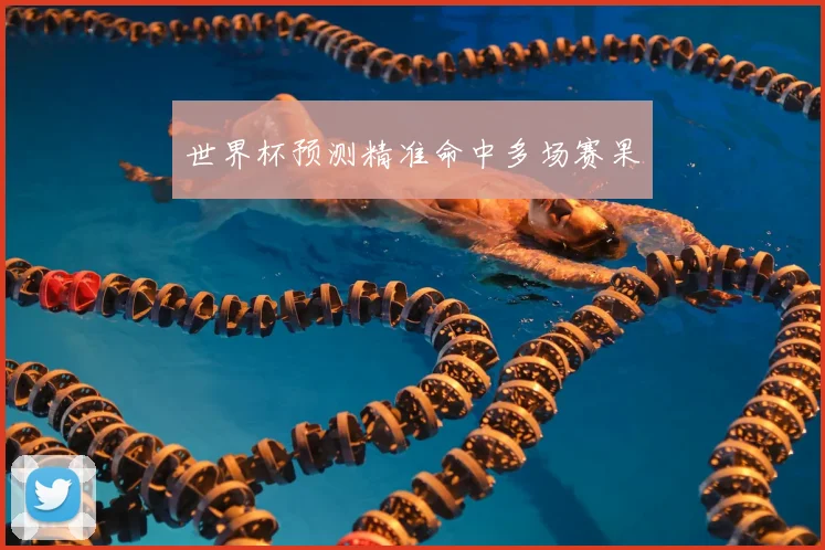 世界杯预测精准命中多场赛果