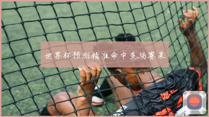 世界杯预测精准命中多场赛果